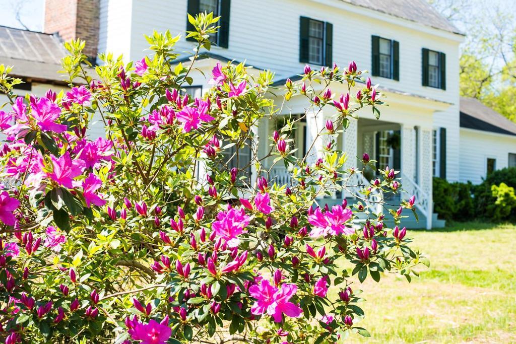 Oak Grove Bed&Breakfast South Boston Buitenkant foto